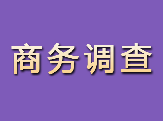 冷水滩商务调查